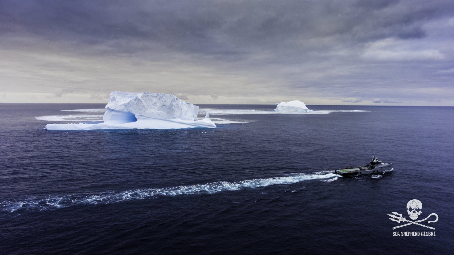 Una nave di Sea Shepherd in missione