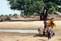 Niger, 23mila sfollati a causa di inondazioni in una zona che dovrebbe essere deserta