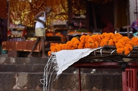 La vita degli abitanti di Varanasi scorre sul Gange