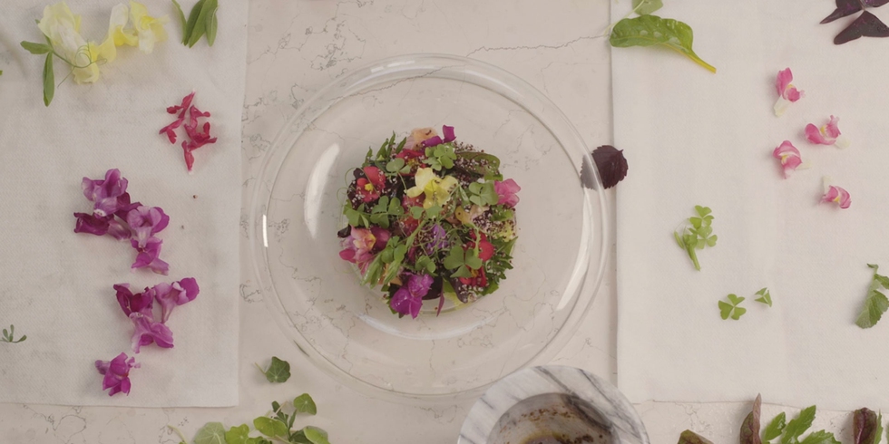 La ricetta del bouquet di insalate e aloe vera