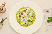 Risotto alle ortiche, la ricetta con salsa al Trentodoc e fiori di campo