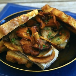 Crostoni di funghi © Beatrice Spagoni