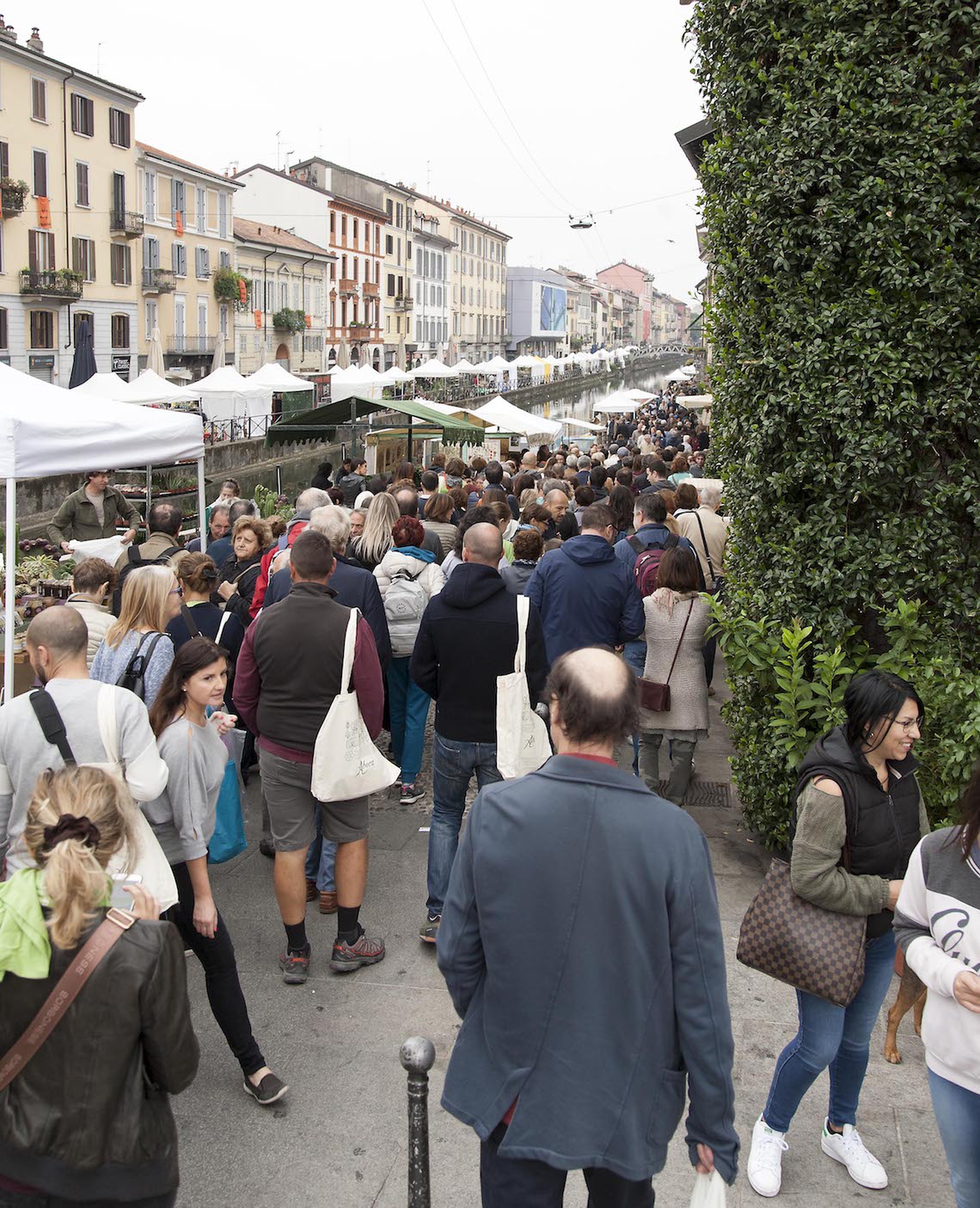 A seminar la buona pianta 6