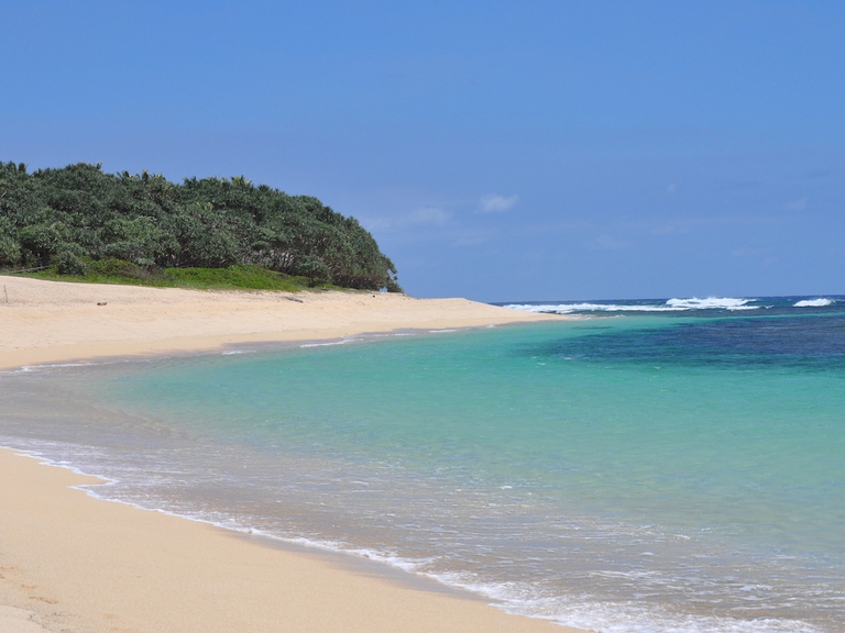 Beach, Tanna Island, Vanuatu