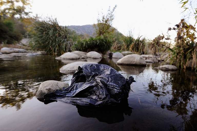 Plastica che galleggia in un fiume