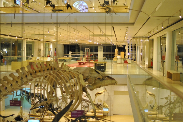 Muse di Trento, Circular Evolutions