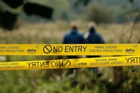 How factory farming breeds deadly viruses and epidemics