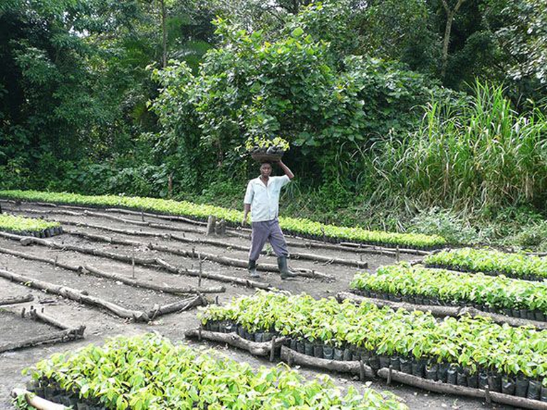 84bb7a53d03aa3d3ce98b5a92a568739