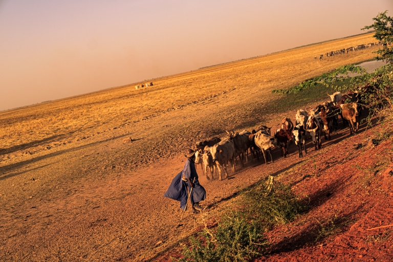 Pastore peul Mopti, Mali