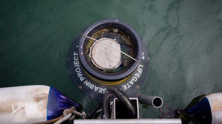 Grohe aderisce a LifeGate PlasticLess