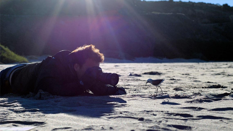 Lo staff creativo Disney - Pixar ha visitato decine di spiagge in California per svolgere ricerche e documentarsi sui soggetti ritratti nel cortometraggio.