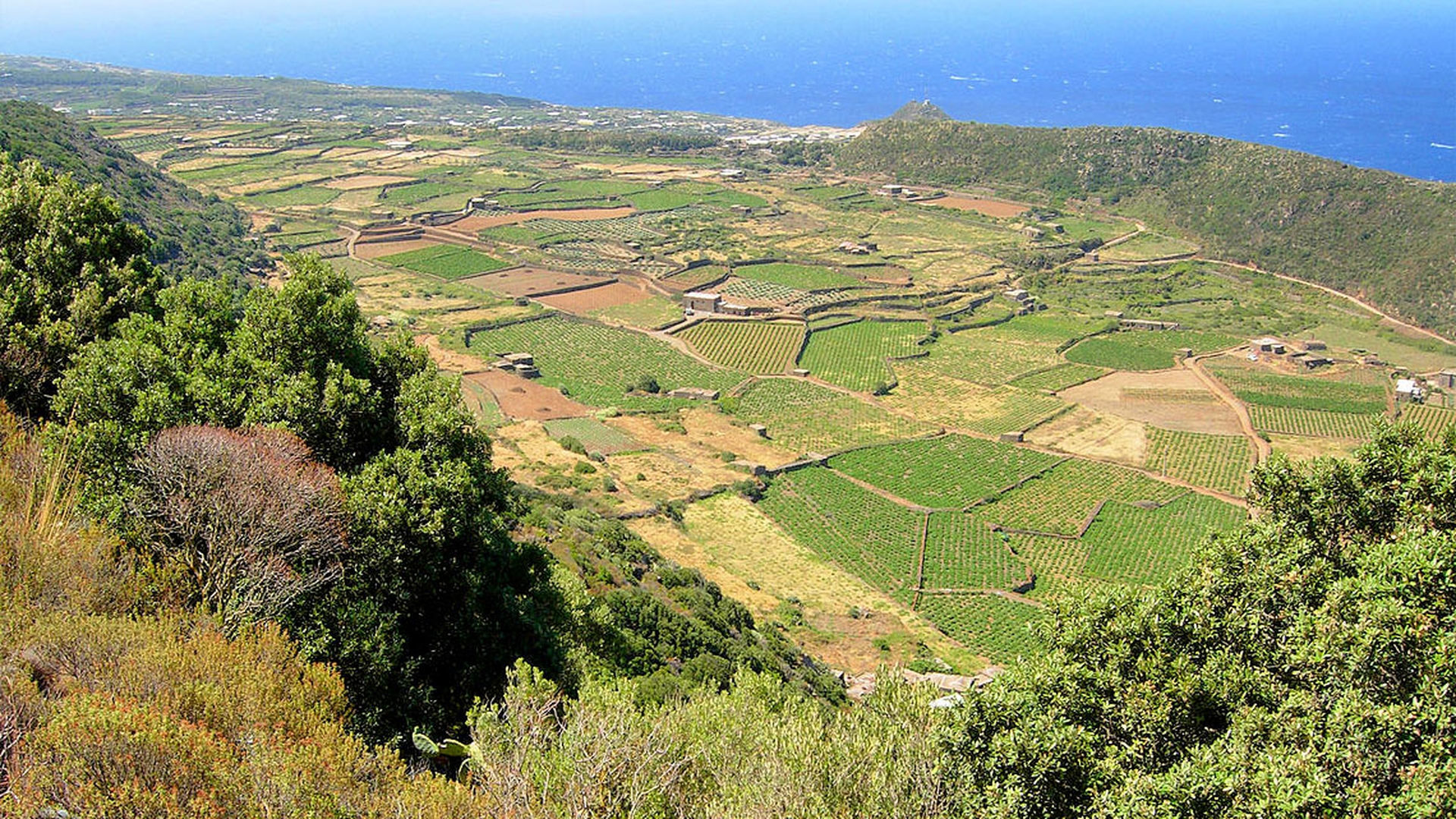 Pantelleria