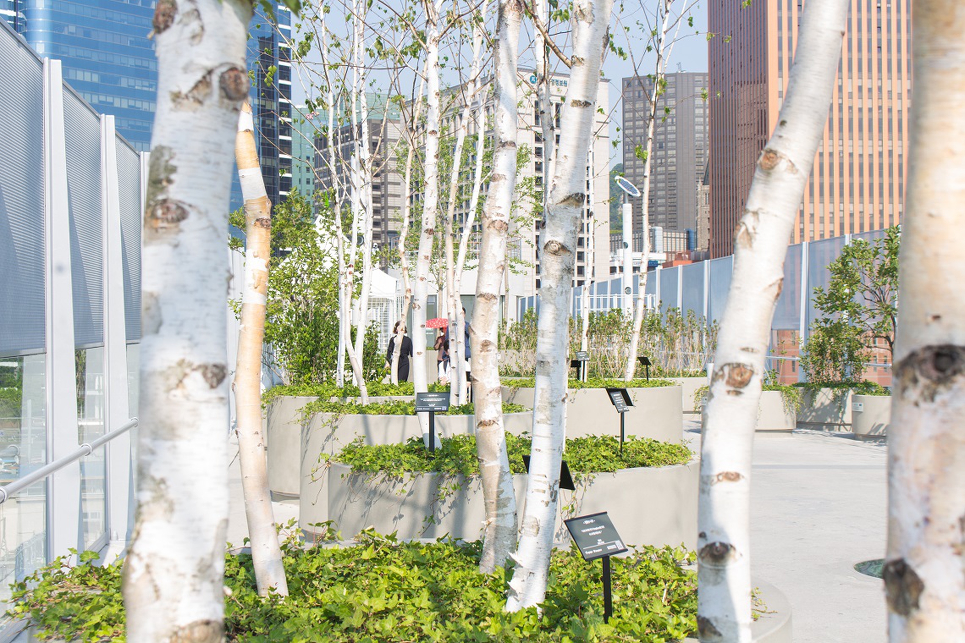 The newly opened walkway of Seoul