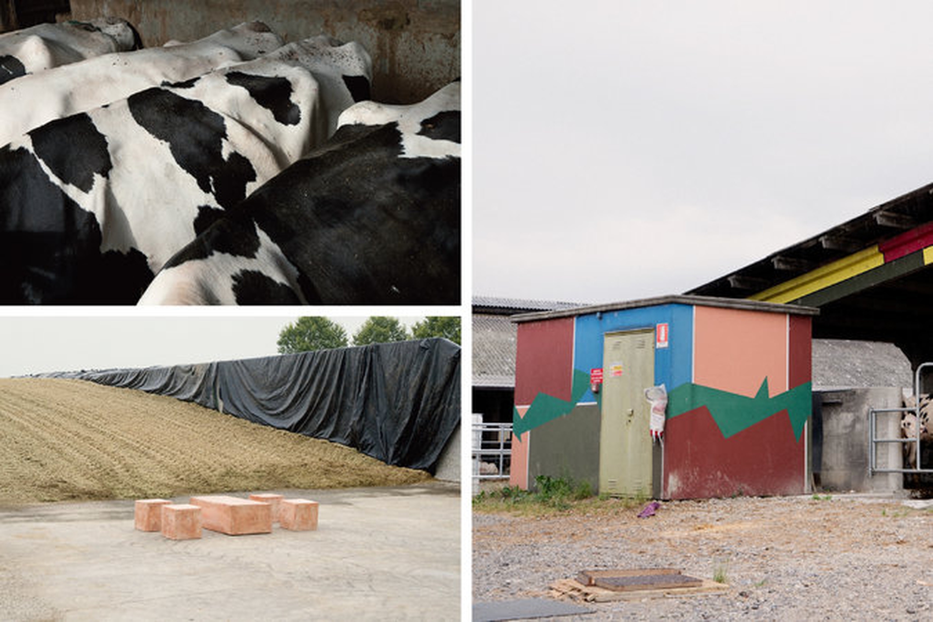 I protagonisti del Museo della merda