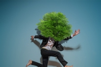 Planomia, l’evoluzione sostenibile