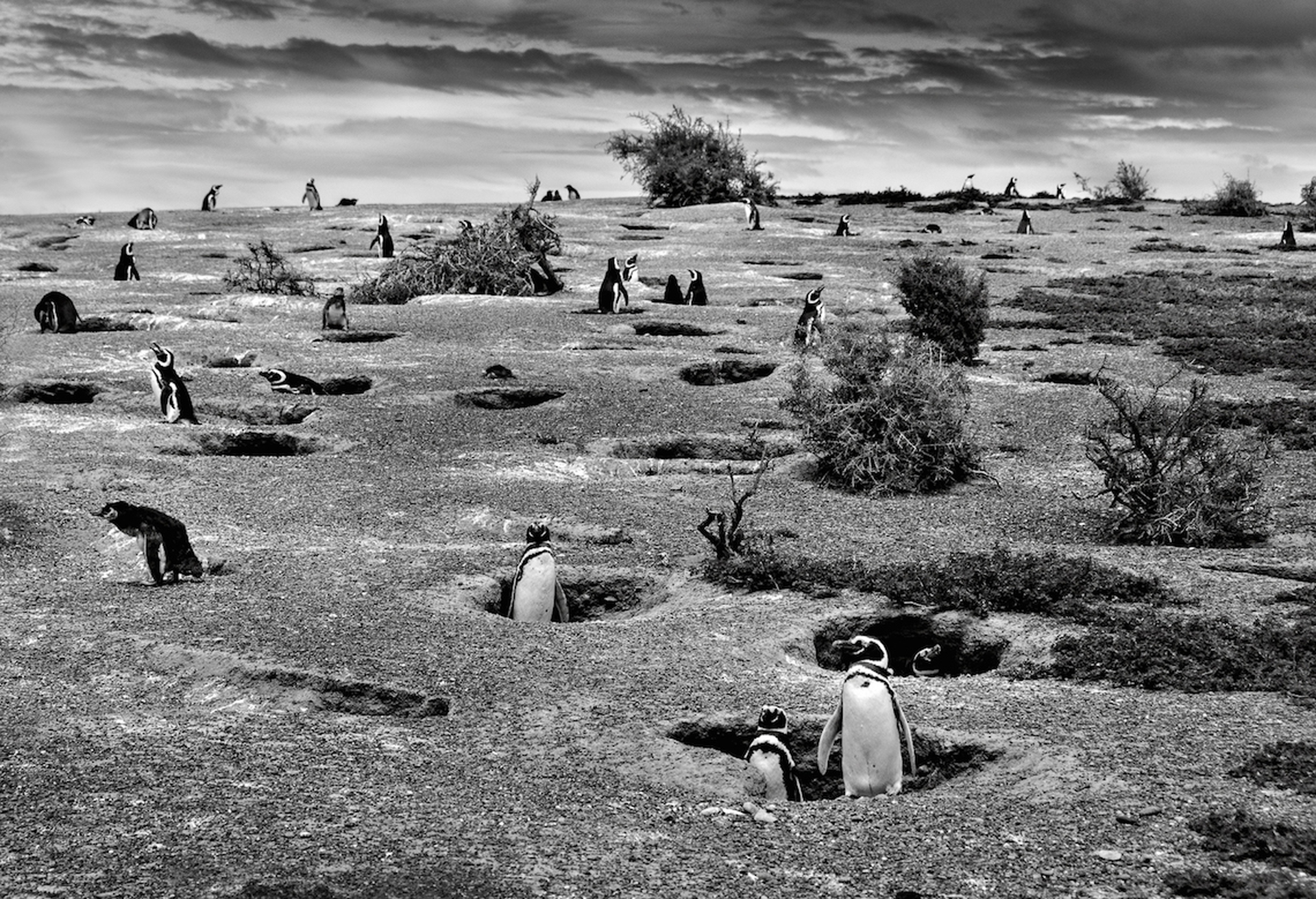 I vincitori dei Sony world photography awards 2016 nella categoria nazionale italiana e nelle categorie internazionali Youth e Open