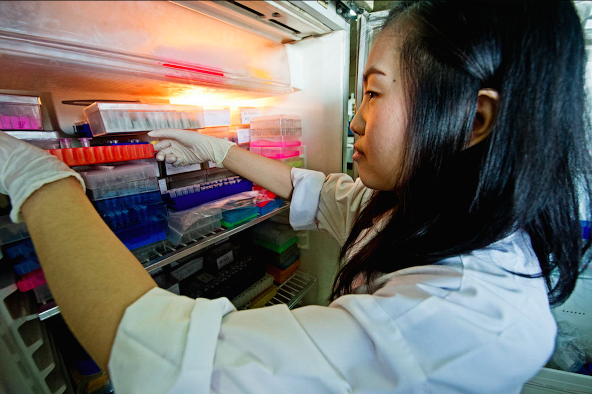 30 dna-testing