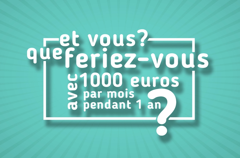 reddito di cittadinanza francia