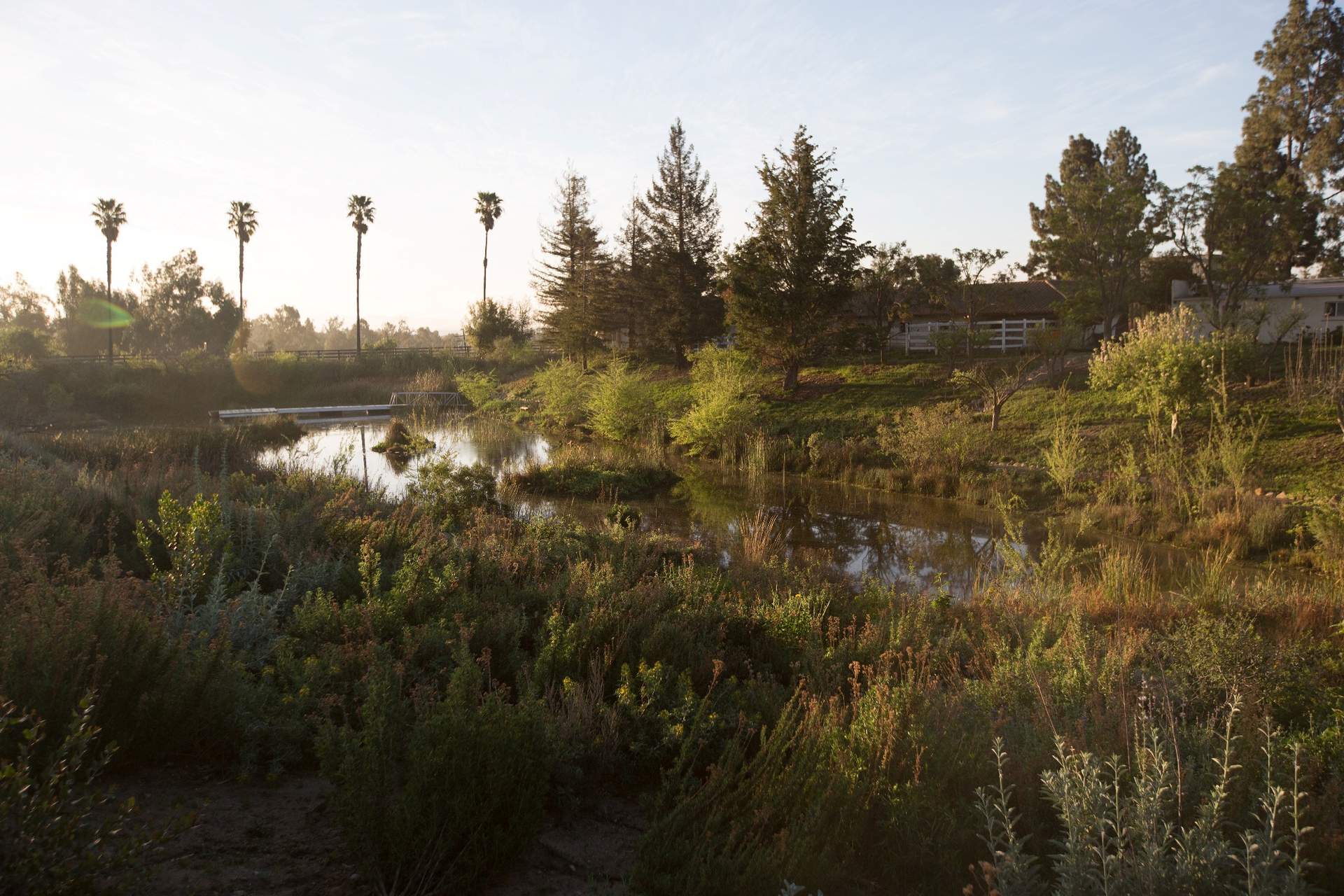 I canali di Apricot Lane, nel film La fattoria dei nostri sogni