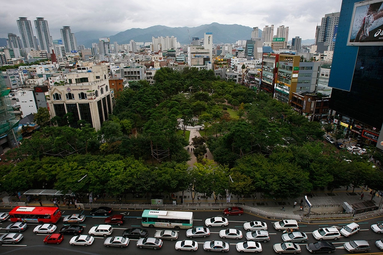Il decreto clima prevede la creazione delle cosiddette foreste urbane, sull'esempio di quanto già fatto in alcune metropoli straniere. / Getty
