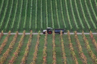 Approvata la nuova Pac, la Politica agricola comune. Cosa cambia per il settore