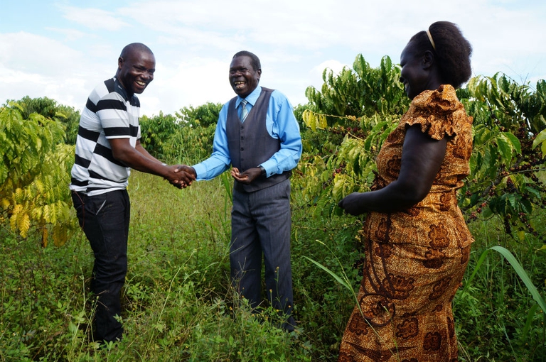 Coltivatori caffè in Sud Sudan