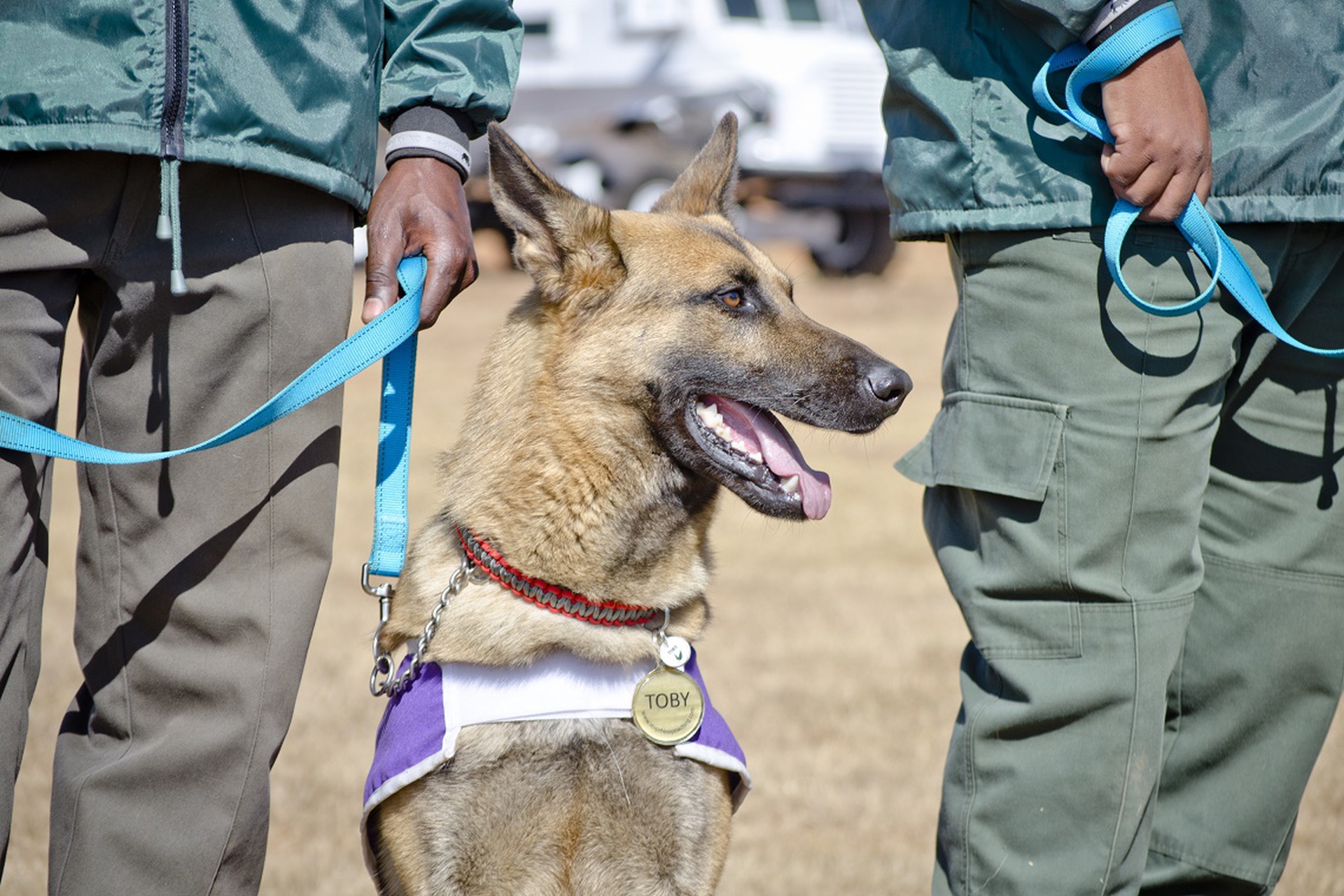 cane-antibracconaggio