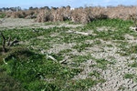 Rete Natura 2000. Le immagini del degrado