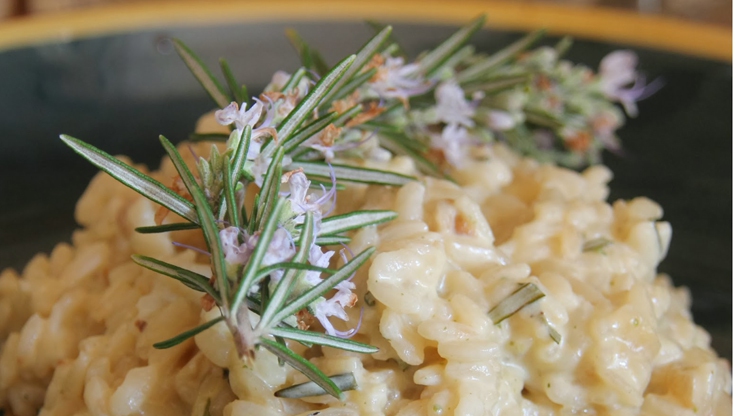 Rosemary risotto - LifeGate