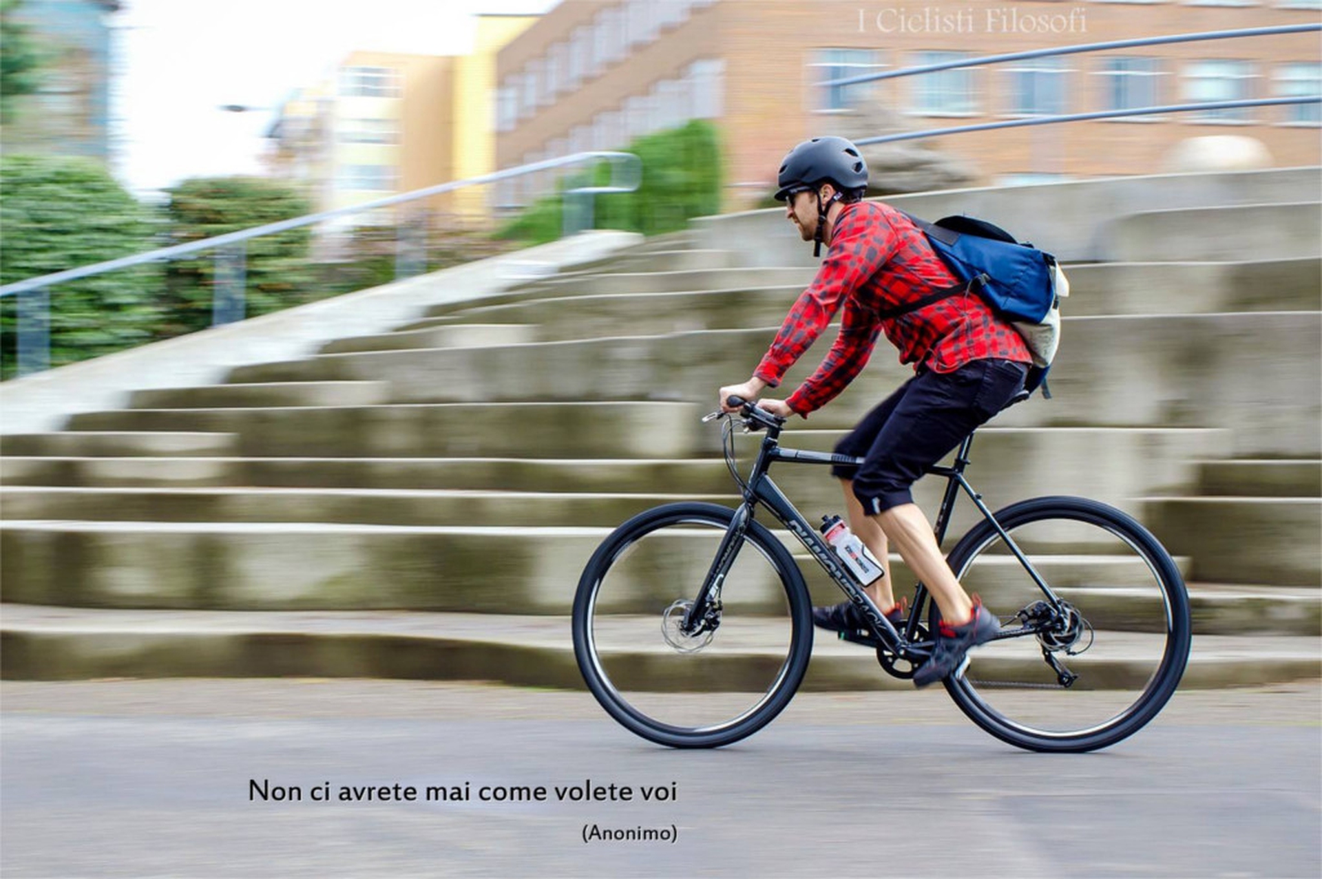 Cicloaforismi: anonimo