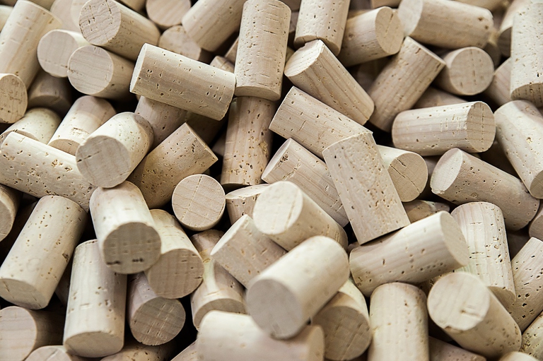 Il sughero è uno dei tessuti più utilizzati per la creazione di biocomposti