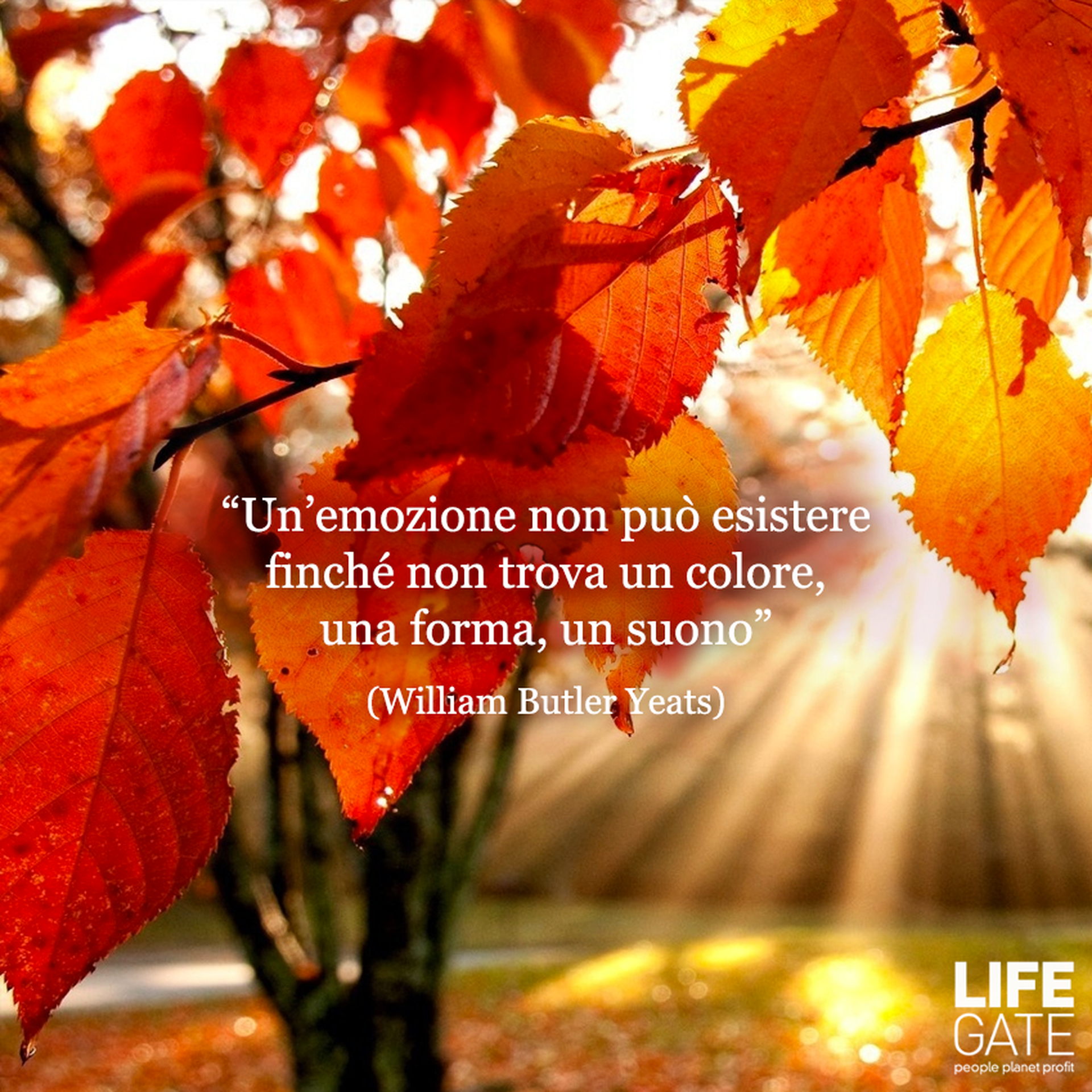 William Butler Yeats