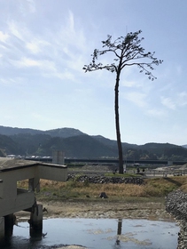 The Tokyo 2020 Reconstruction Games start from tsunami-hit areas