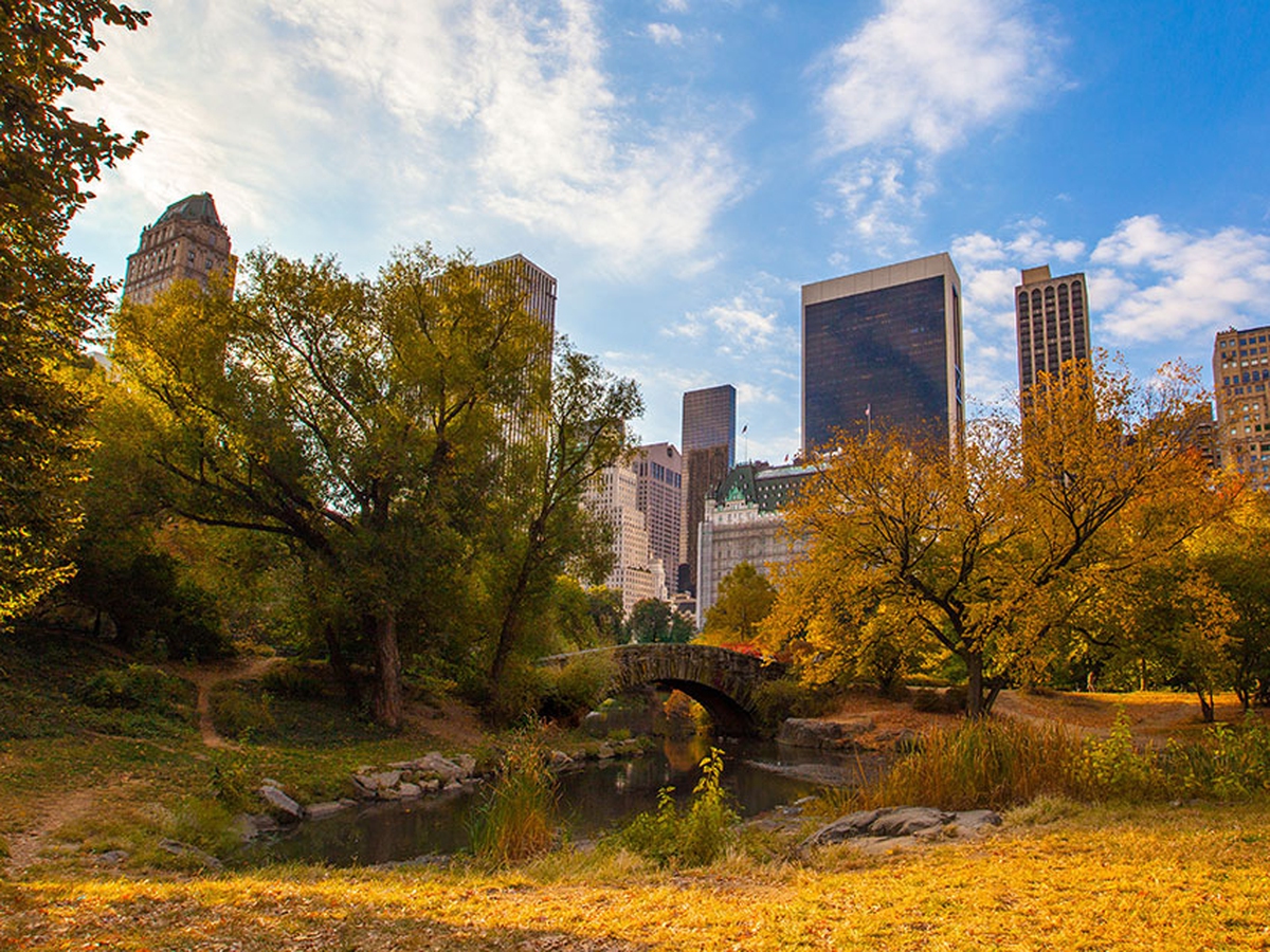 Central Park E Davvero Un Luogo Magico Gli Alberi Crescono Piu Velocemente Lifegate