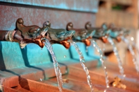 Waidy Wow, l’app smart e sostenibile amica dell’acqua e dell’ambiente