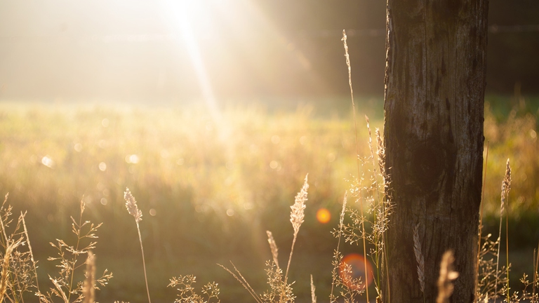 luce solare migliorare l'umore inverno