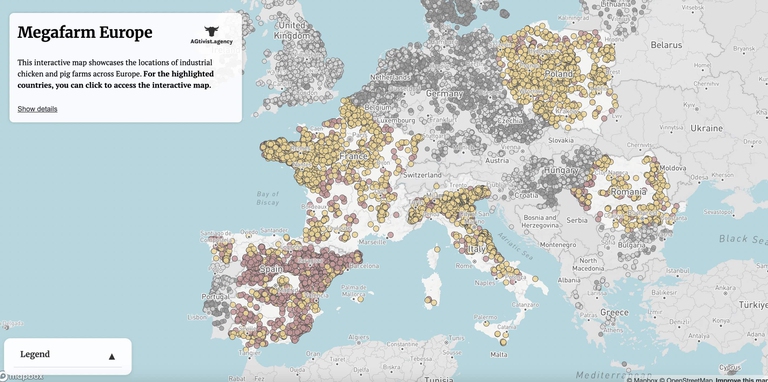 allevamenti intensivi
