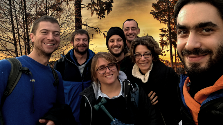 Team bleu biloba forest sharing