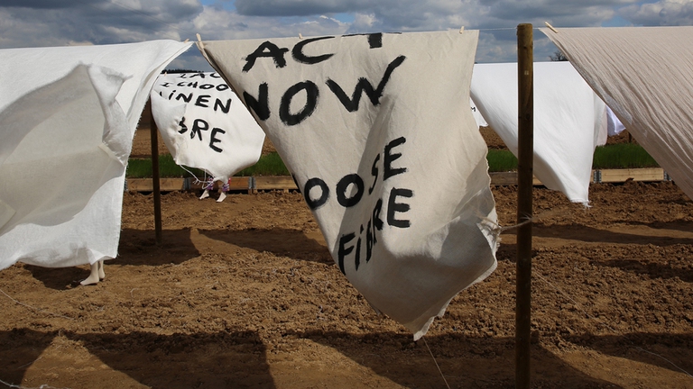 campagna amo il lino