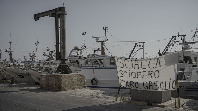 La guerra del pesce nel Mediterraneo, un mare sempre più caldo e inquinato