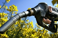 Anche l’Italia pensa al divieto di vendita di auto a diesel e benzina dal 2040