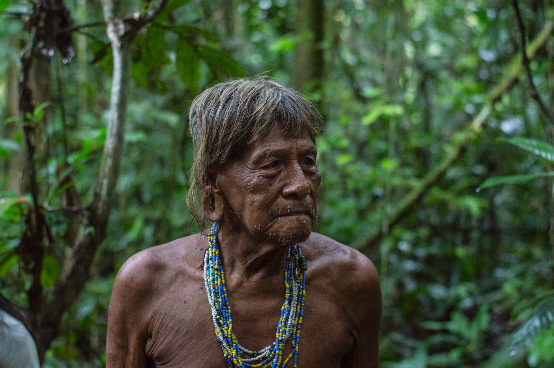 Human Forest Ecuador Yasuní 2017