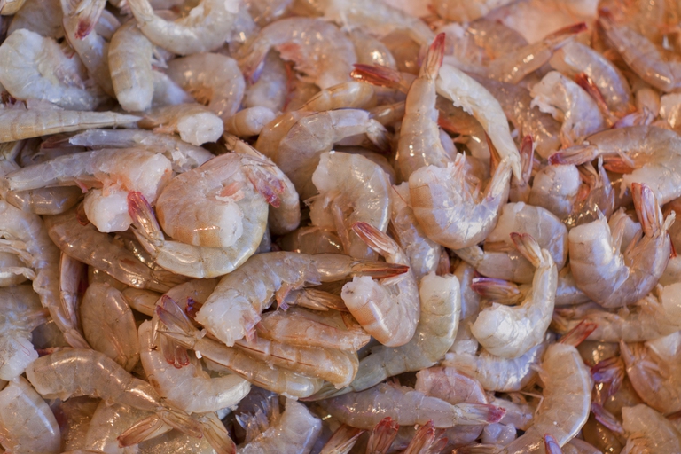 microplastiche cozze gamberi sale