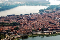 Foreste urbane. La risposta delle città ai cambiamenti climatici (e non solo)
