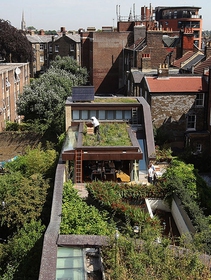 Rooftop and vertical farms in cities, the most advanced projects around the world