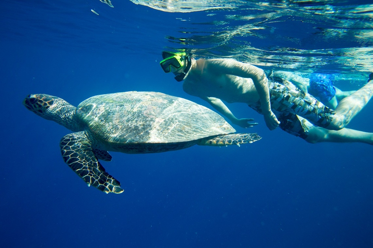 Un sub nuota a fianco di una tartaruga marina