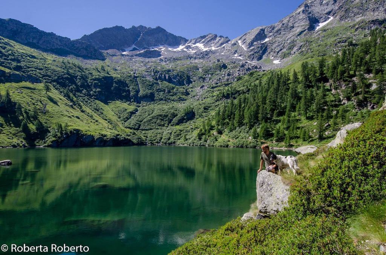 paolo cognetti lucky cane montagna libri