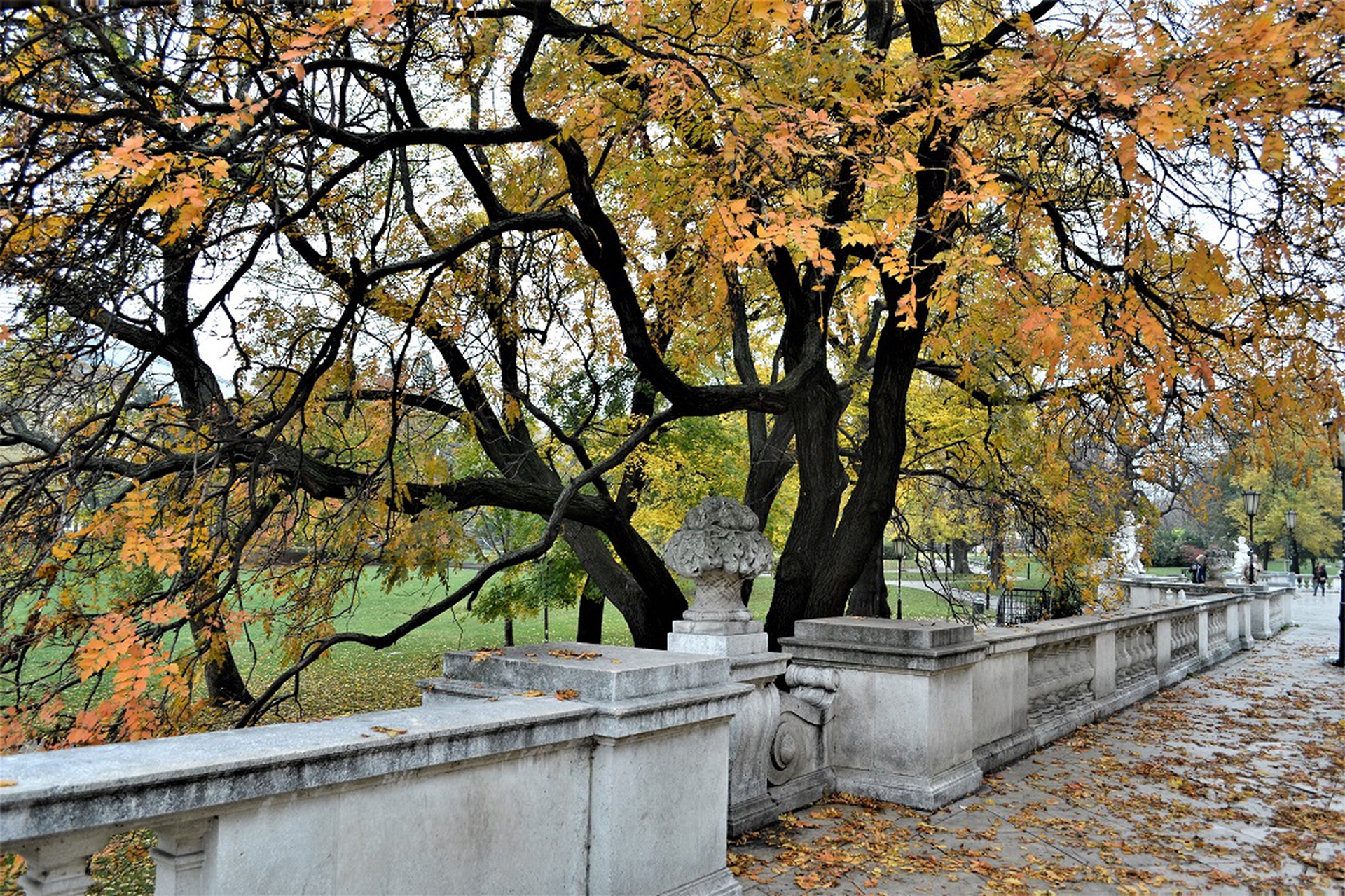 Vienna is a green city, with many large green spaces