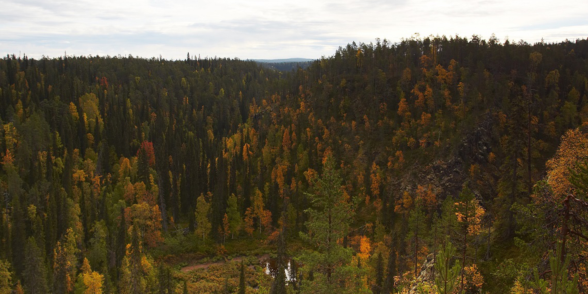 Perché in Finlandia l’economia circolare è un successo LifeGate