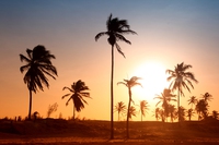 Estate 2014: dieci canzoni da portare in vacanza